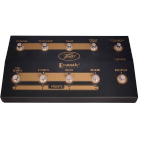 Ecoustic  Foot Controller