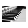 GC24 Postal de felicitación blanco y negro piano