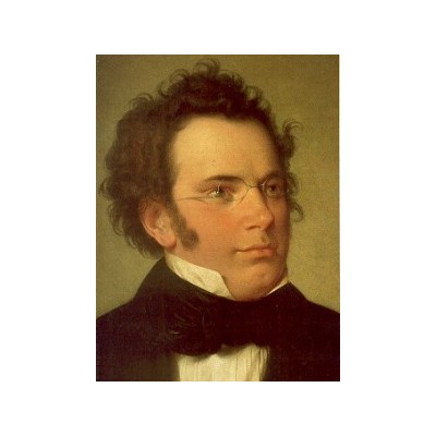 Schubert f. cuarteto de cuerda d810 en re menor (orquesta bo