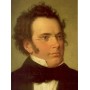 Schubert f. cuarteto de cuerda d810 en re menor (orquesta bo