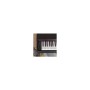PROKEYS S-55 BK Piano 7 octavas con 88 teclas contrapesadas