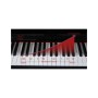 PROKEYS S-55 WH Piano 7 octavas con 88 teclas contrapesadas