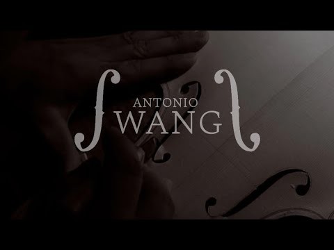 ANTONIO WANG